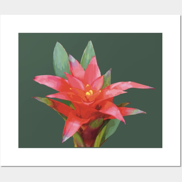 Scarlet Star, Guzmania lingulata Wall Art by NadJac